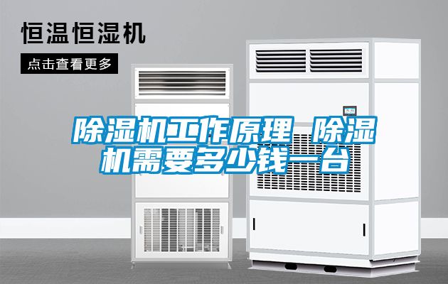 91看片在线下载機工作原理 91看片在线下载機需要多少錢一台