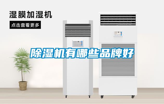 91看片在线下载機有哪些品牌好