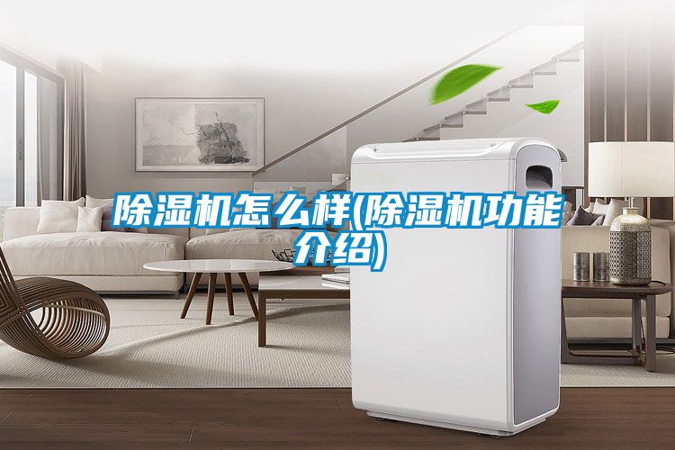 91看片在线下载機怎麽樣(91看片在线下载機功能介紹)