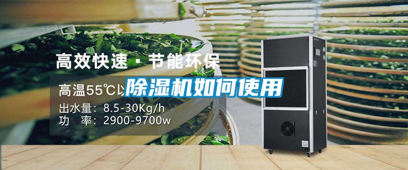 91看片在线下载機如何使用