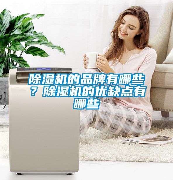 91看片在线下载機的品牌有哪些？91看片在线下载機的優缺點有哪些