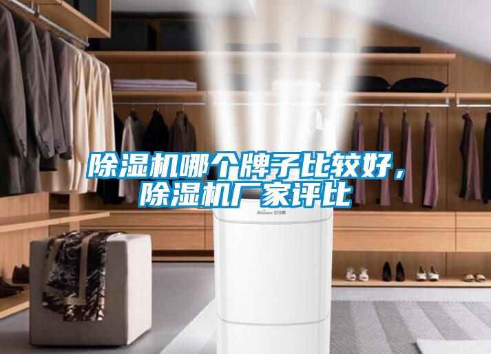 91看片在线下载機哪個牌子比較好，91看片在线下载機廠家評比