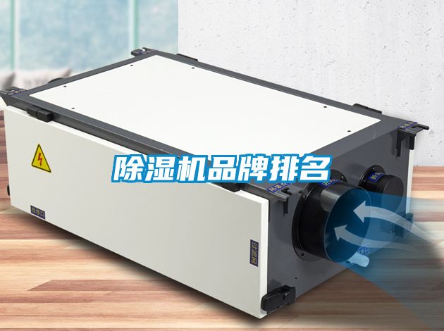 91看片在线下载機品牌排名