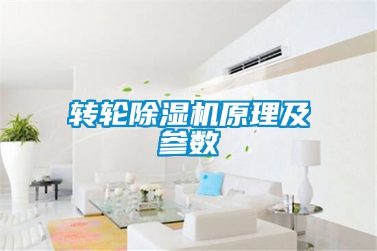 轉輪91看片在线下载機原理及參數