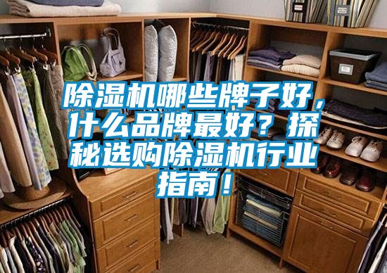 91看片在线下载機哪些牌子好，什麽品牌最好？探秘選購91看片在线下载機行業指南！