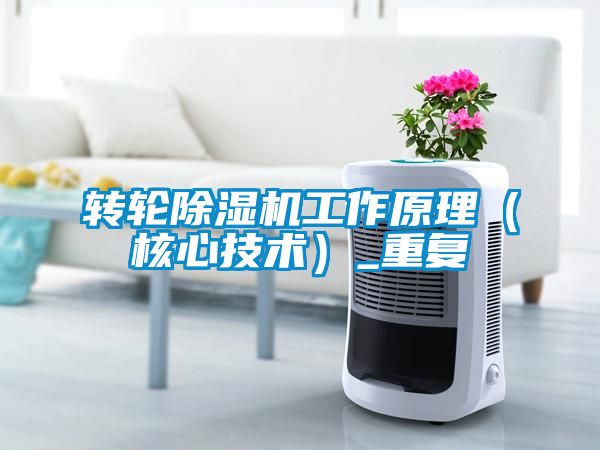 轉輪91看片在线下载機工作原理（核心技術）_重複