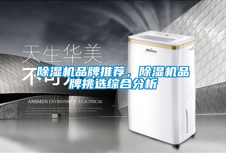 91看片在线下载機品牌推薦，91看片在线下载機品牌挑選綜合分析