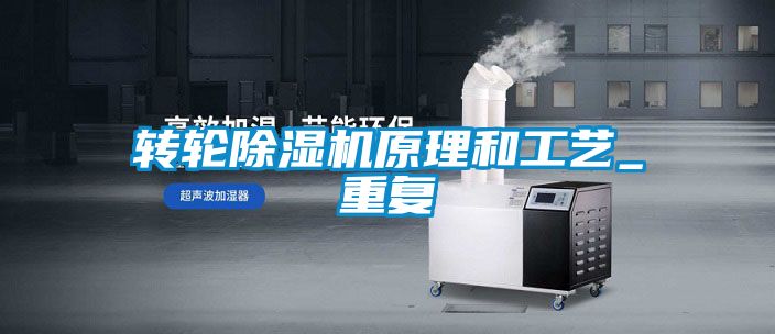 轉輪91看片在线下载機原理和工藝_重複
