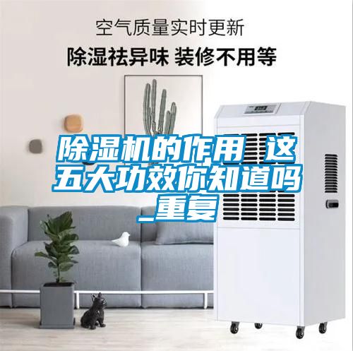 91看片在线下载機的作用 這五大功效你知道嗎_重複