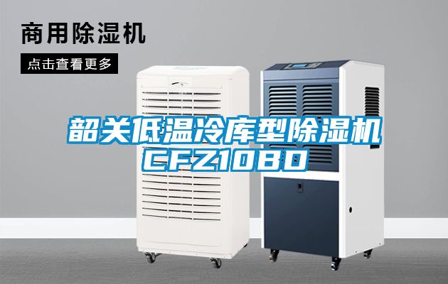 韶關低溫冷庫型91看片在线下载機CFZ10BD