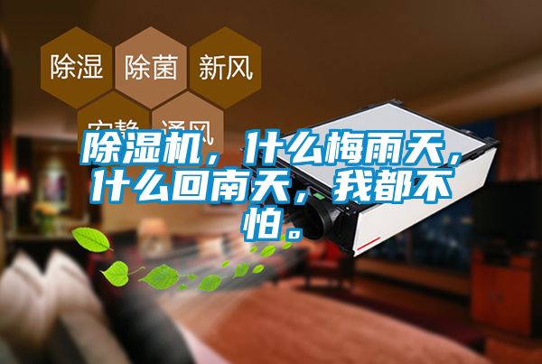 91看片在线下载機，什麽梅雨天，什麽回南天，我都不怕。