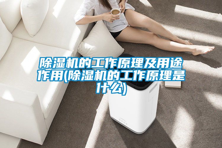 91看片在线下载機的工作原理及用途作用(91看片在线下载機的工作原理是什麽)