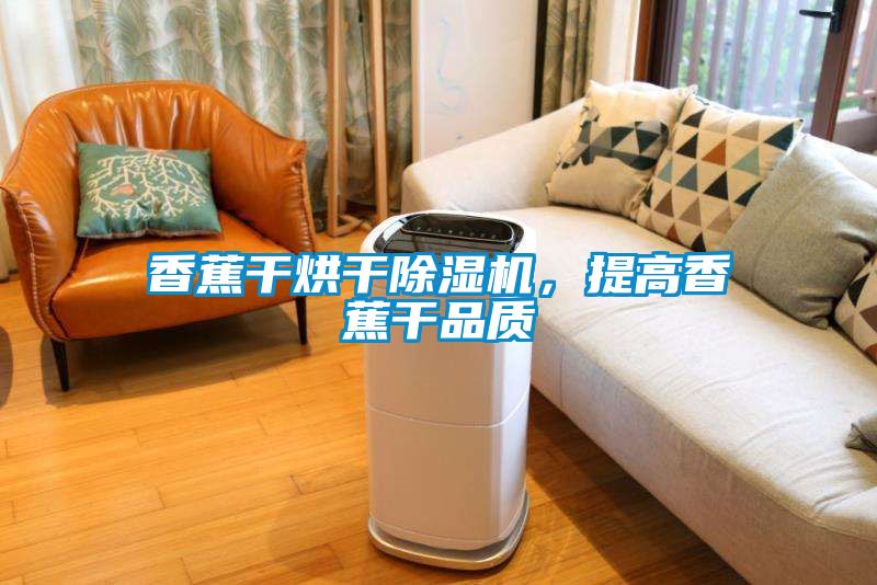 香蕉幹烘幹91看片在线下载機，提高香蕉幹品質