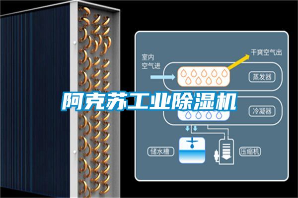 阿克蘇工業91看片在线下载機