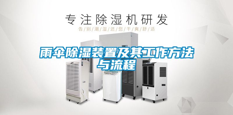 雨傘91看片在线下载裝置及其工作方法與流程