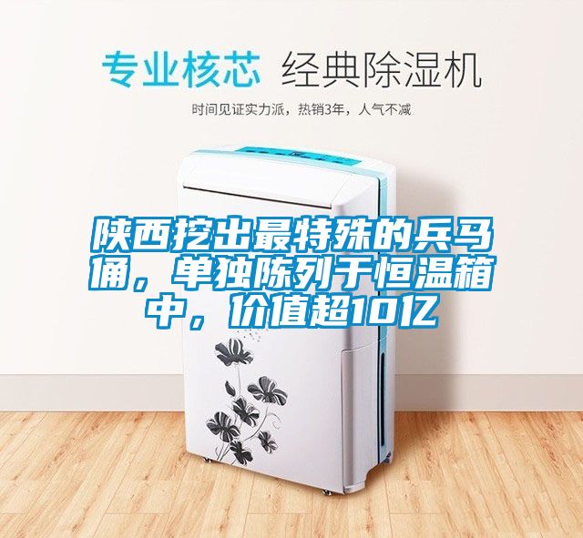 陝西挖出最特殊的兵馬俑，單獨陳列於恒溫箱中，價值超10億