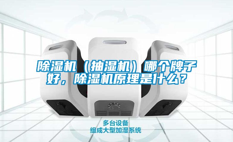 91看片在线下载機（抽濕機）哪個牌子好，91看片在线下载機原理是什麽？