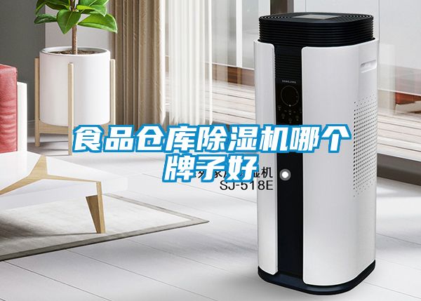 食品倉庫91看片在线下载機哪個牌子好