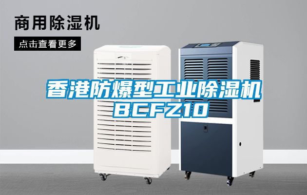 香港防爆型工業91看片在线下载機 BCFZ10
