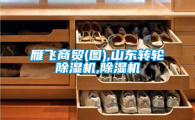 雁飛商貿(圖),山東轉輪91看片在线下载機,91看片在线下载機