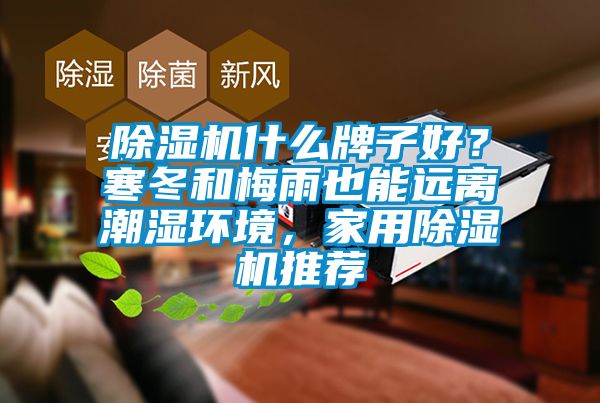 91看片在线下载機什麽牌子好？寒冬和梅雨也能遠離潮濕環境，家用91看片在线下载機推薦