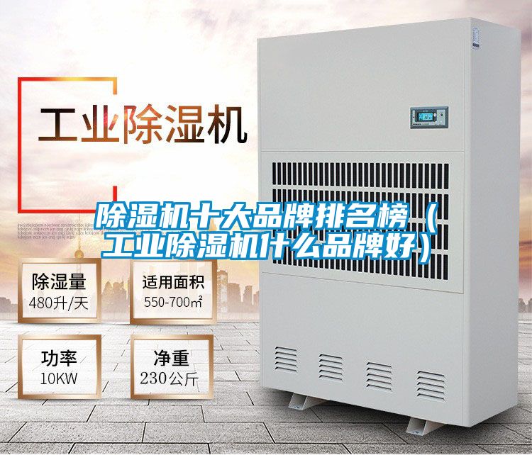 91看片在线下载機十大品牌排名榜（工業91看片在线下载機什麽品牌好）