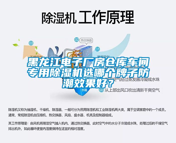 黑龍江電子廠房倉庫車間專用91看片在线下载機選哪個牌子防潮效果好？
