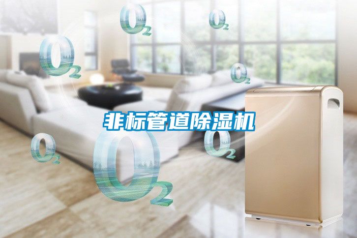 非標管道91看片在线下载機