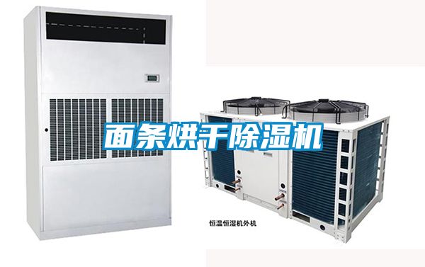 麵條烘幹91看片在线下载機