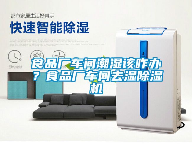 食品廠車間潮濕該咋辦？食品廠車間去濕91看片在线下载機