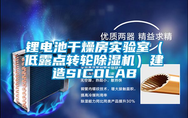 鋰電池幹燥房實驗室（低露點轉輪91看片在线下载機）建造SICOLAB