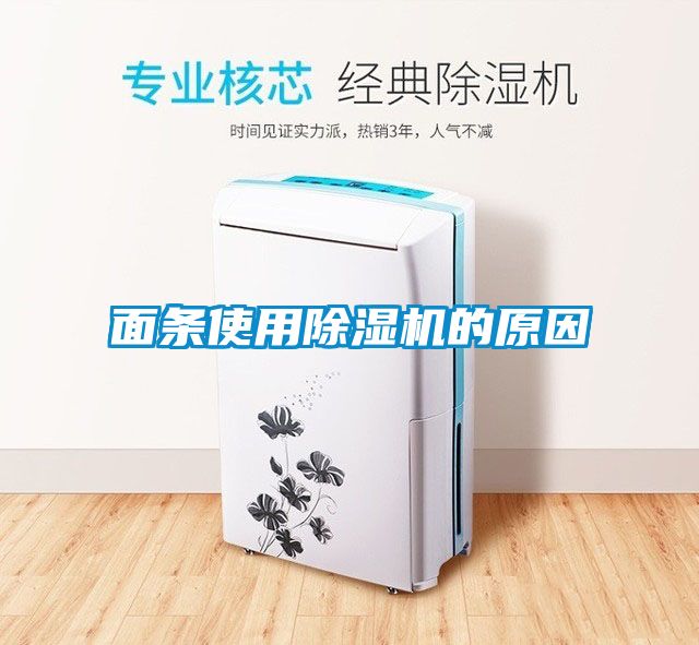 麵條使用91看片在线下载機的原因