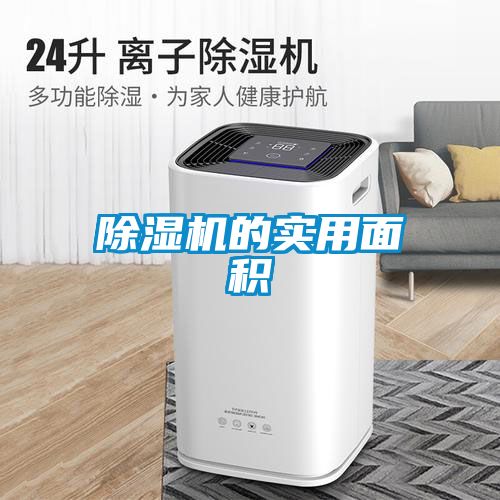 91看片在线下载機的實用麵積