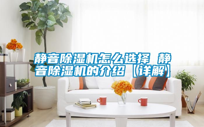 靜音91看片在线下载機怎麽選擇 靜音91看片在线下载機的介紹【詳解】