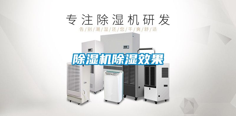 91看片在线下载機91看片在线下载效果