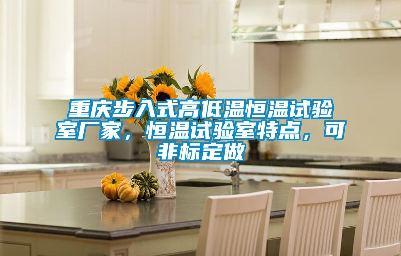 重慶步入式高低溫恒溫試驗室廠家，恒溫試驗室特點，可非標定做