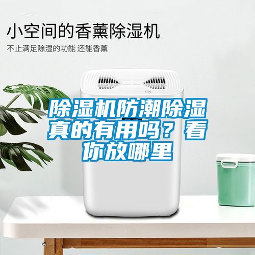 91看片在线下载機防潮91看片在线下载真的有用嗎？看你放哪裏