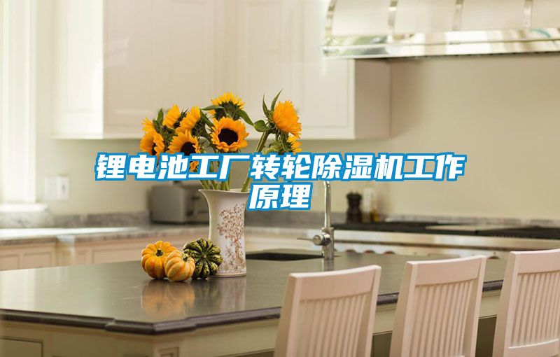 鋰電池工廠轉輪91看片在线下载機工作原理