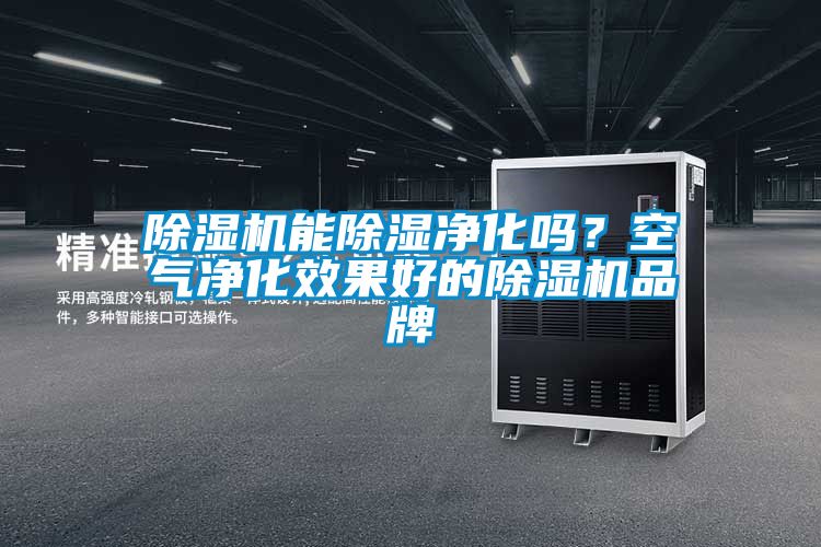 91看片在线下载機能91看片在线下载淨化嗎？空氣淨化效果好的91看片在线下载機品牌
