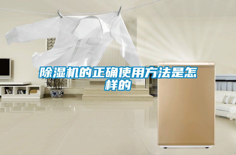 91看片在线下载機的正確使用方法是怎樣的