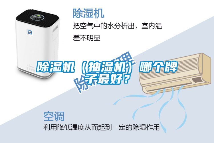 91看片在线下载機（抽濕機）哪個牌子最好？