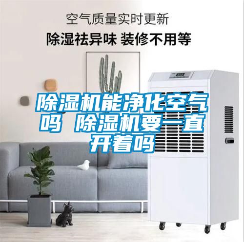 91看片在线下载機能淨化空氣嗎 91看片在线下载機要一直開著嗎