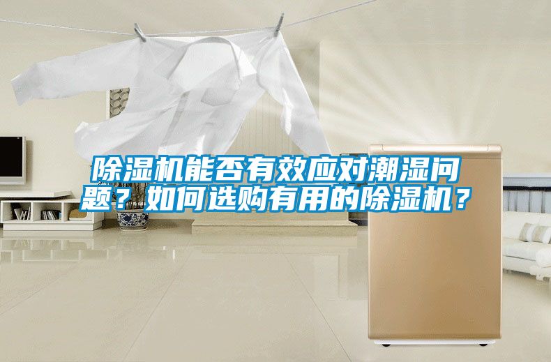 91看片在线下载機能否有效應對潮濕問題？如何選購有用的91看片在线下载機？