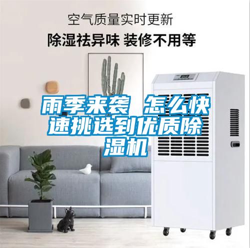 雨季來襲 怎麽快速挑選到優質91看片在线下载機