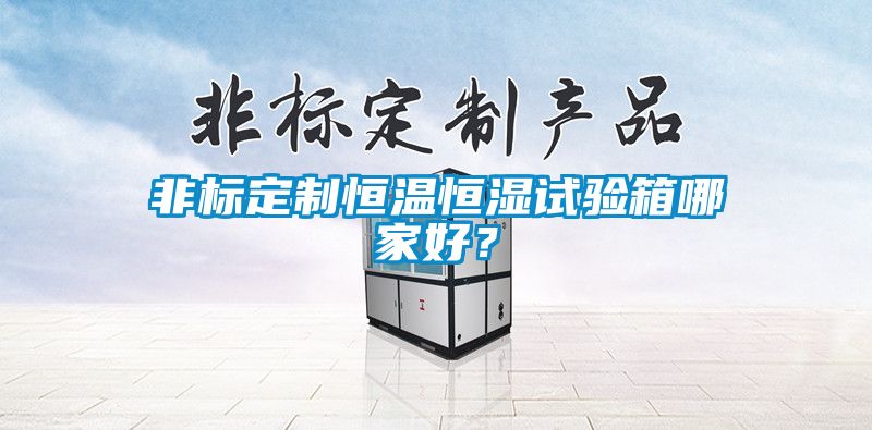 非標定製恒溫恒濕試驗箱哪家好？
