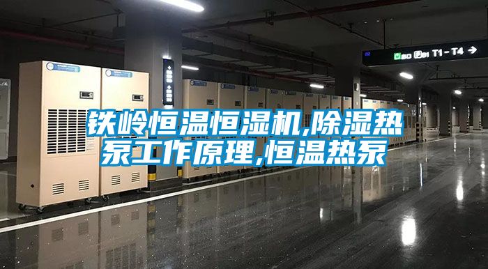 鐵嶺恒溫恒濕機,91看片在线下载熱泵工作原理,恒溫熱泵