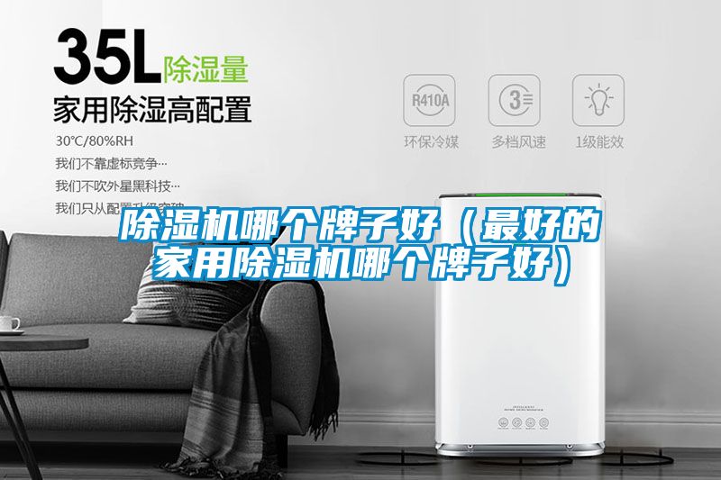 91看片在线下载機哪個牌子好（最好的家用91看片在线下载機哪個牌子好）
