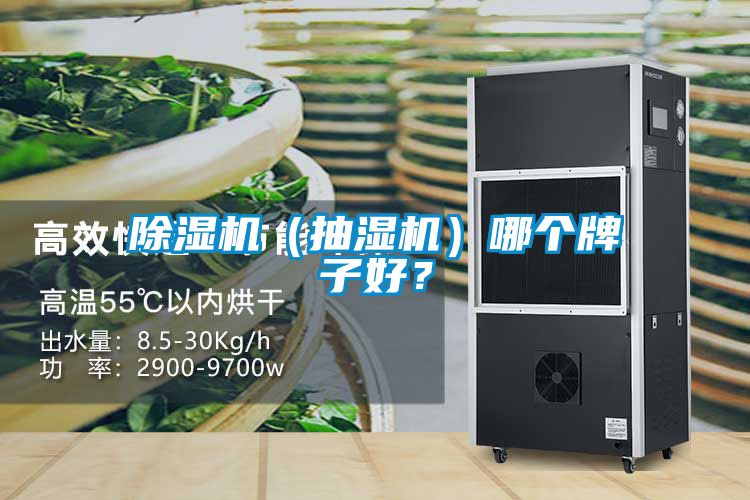 91看片在线下载機（抽濕機）哪個牌子好？