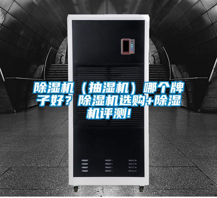 91看片在线下载機（抽濕機）哪個牌子好？91看片在线下载機選購+91看片在线下载機評測!