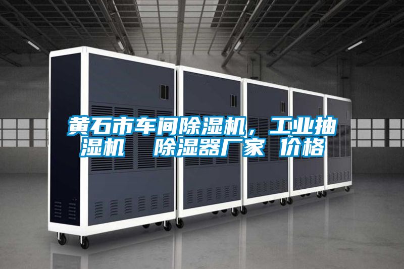 黃石市車間91看片在线下载機，工業抽濕機  91看片在线下载器廠家 價格